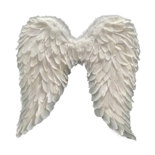 White angel wings halloween - white,